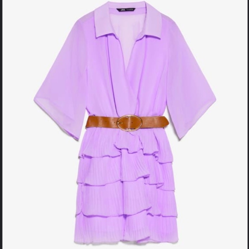 Pleated Zara Dress